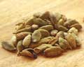 green cardamom pods
