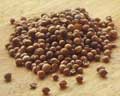 coriander seeds
